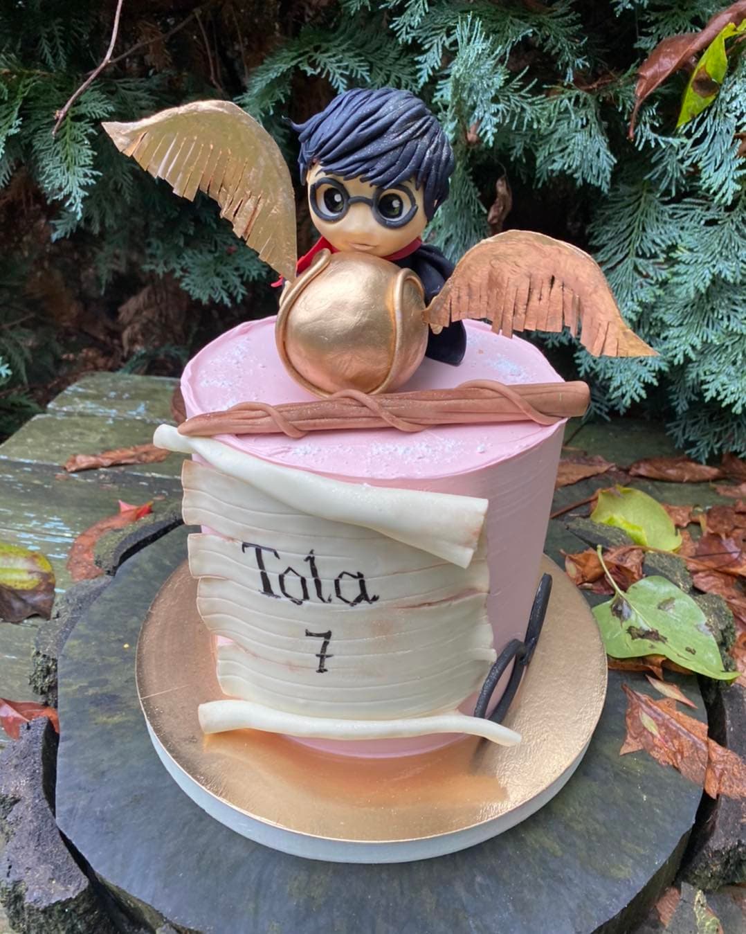 Torty dla dzieci — harry potter